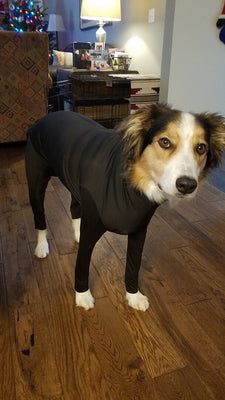 XL 2