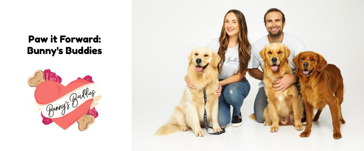 Paw it Forward Bunny's Buddies