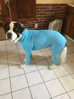 XXL 4