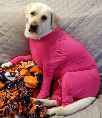 XL 8
