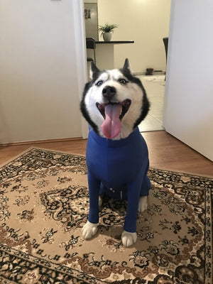 XL 9