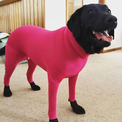 XL 10