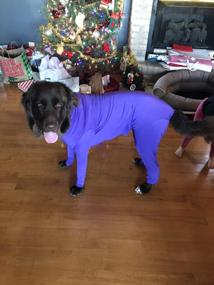 xxl 7