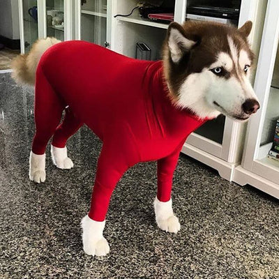 XL 12