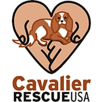 http://www.cavalierrescueusa.org