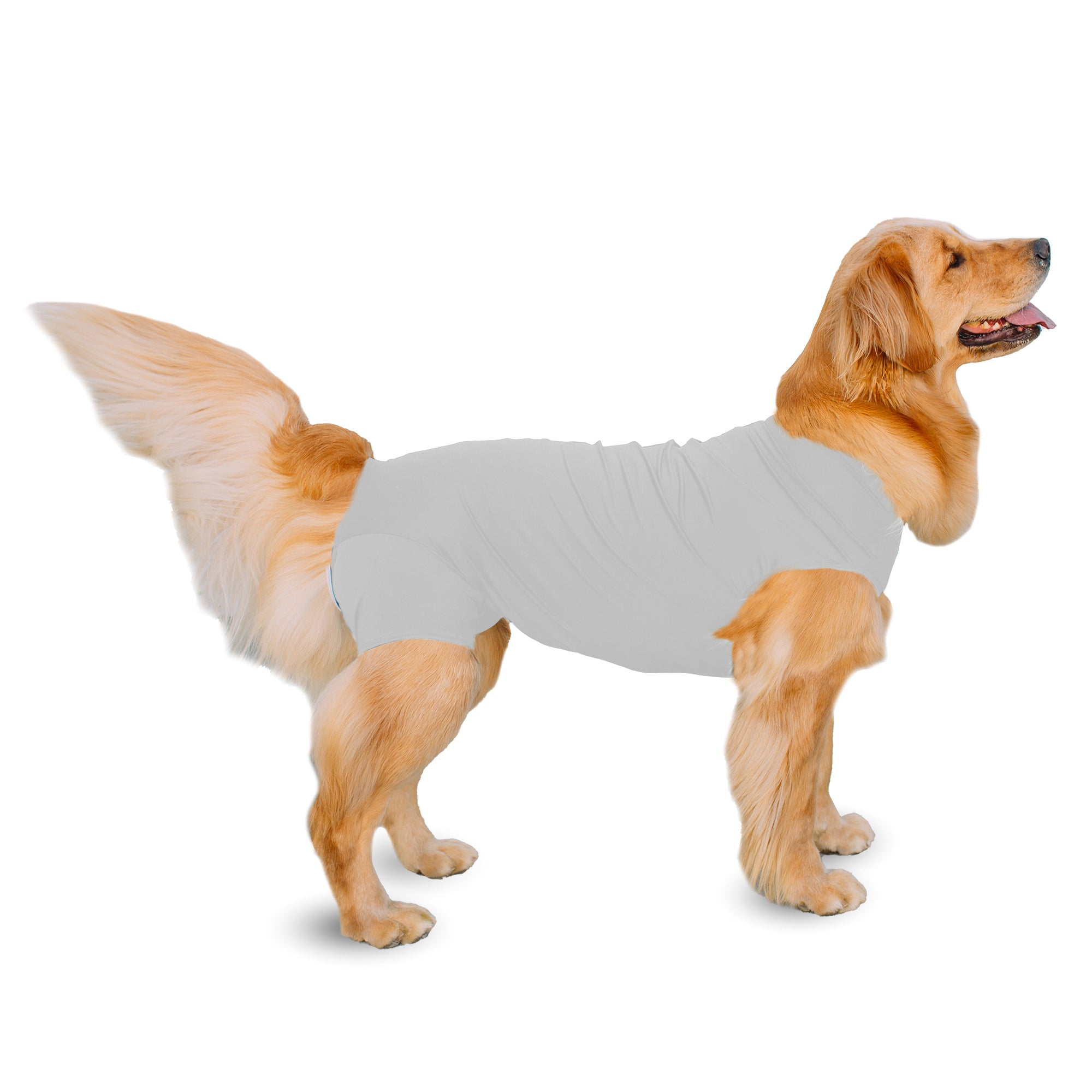 AOKAZI Dog Surgery Recovery Suit, Puppy Cat Onesie for Shedding