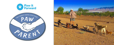 Paw It Forward: Paw Parent