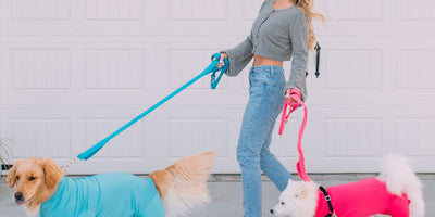 Husky coat blow: the spring & fall survival guide