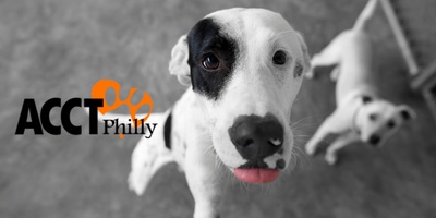 Paw it Forward: ACCT Philly