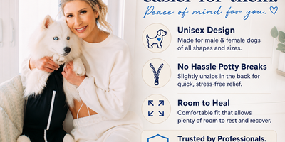 Hot spots on dogs: causes, treatment, and prevention