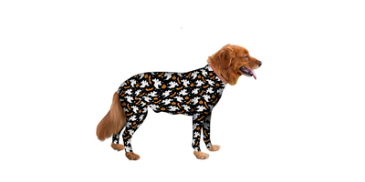 Halloween dog costumes: spooky prints and easy DIY looks