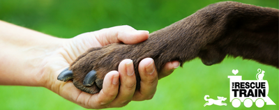 Paw It Forward: The Rescue Train