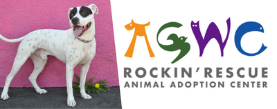 Paw It Forward: AGWC Rockin’ Rescue