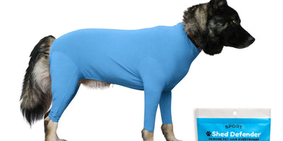 Dog anxiety vest vs. ThunderShirt: which compression option fits your dog