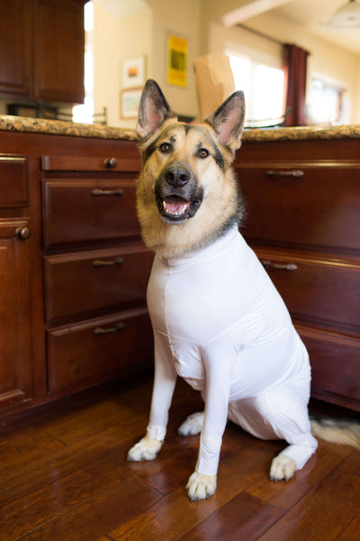 Shed Defender white