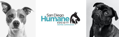 Paw it Forward: San Diego Humane Society