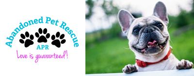 Paw it Forward: Abandoned Pet Rescue
