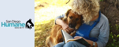 Paw it Forward: San Diego Humane Society