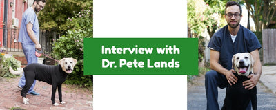 Keep Calm and Summer On: Interview with Dr. Pete Lands, DVM