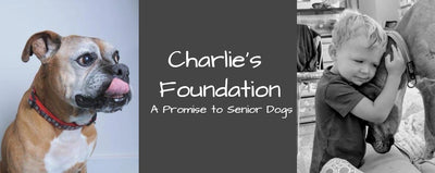 Paw it Forward: Charlie's Foundation