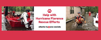 Hurricane Florence - Donate to Atlanta Humane Society