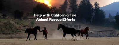 Paw it Forward: Help with CA Fire Animal Rescue Efforts