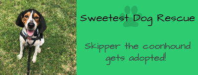 Paw it Forward: Sweetest Dog Rescue and the Story of Skipper the Coonhound