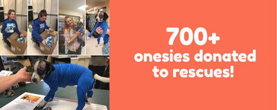Paw it Forward: Over 700 Shed Defenders Donated to Rescues Across the Country!