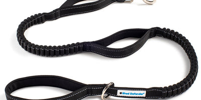 Hands-free dog leashes for runners and hikers