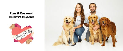 Paw it Forward: Bunny's Buddies