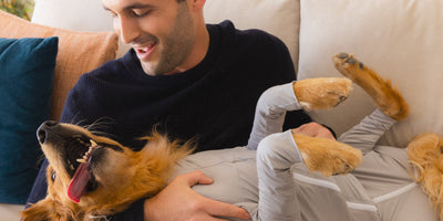 Best dog breeds for allergy sufferers (and how to live with a heavy shedder anyway)