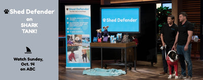 Tune into Shark Tank on Oct. 14 to see our CEO pitch Shed Defender to the Sharks!