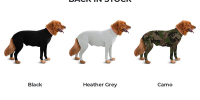 Best brushes for heavy-shedding dogs (tested by breed)