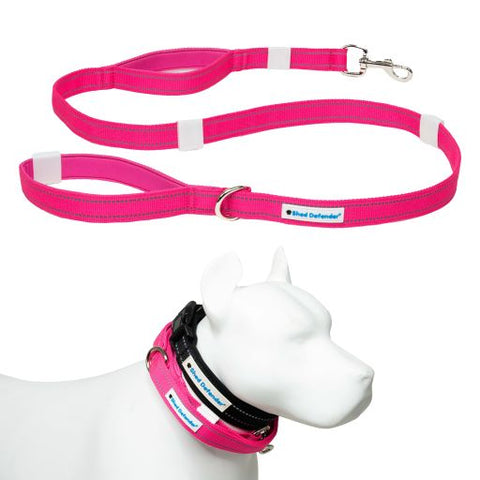 Mag-Snap™ Leash - 5 ft.