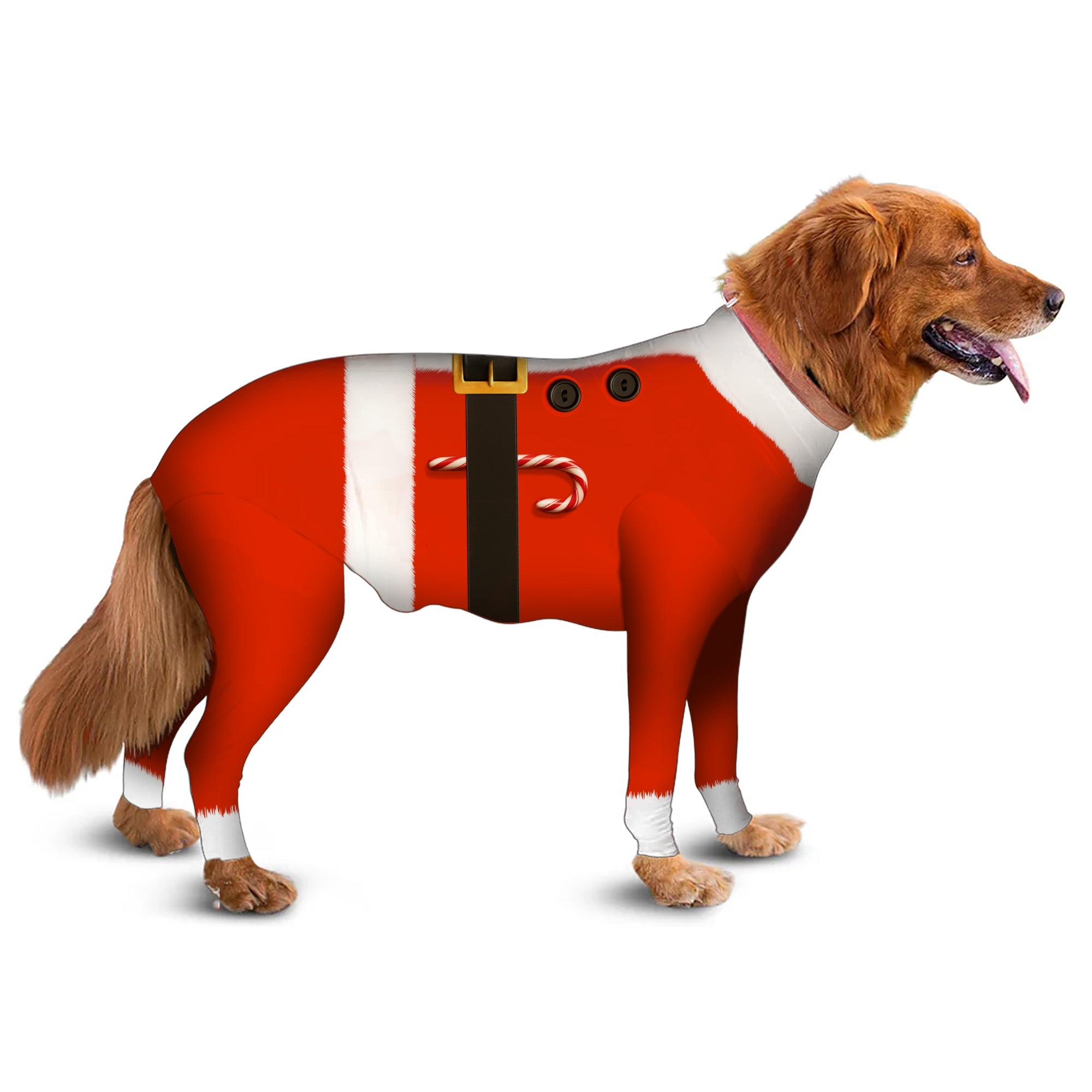 Original Dog Onesie