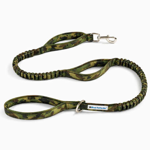 Shock Absorbing Bungee Leash 4-6 ft.