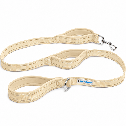 Standard Leash - 5 ft.