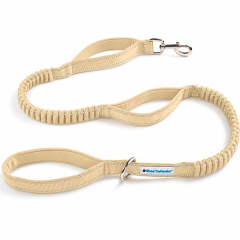 Bungee Leash 4-6 ft.