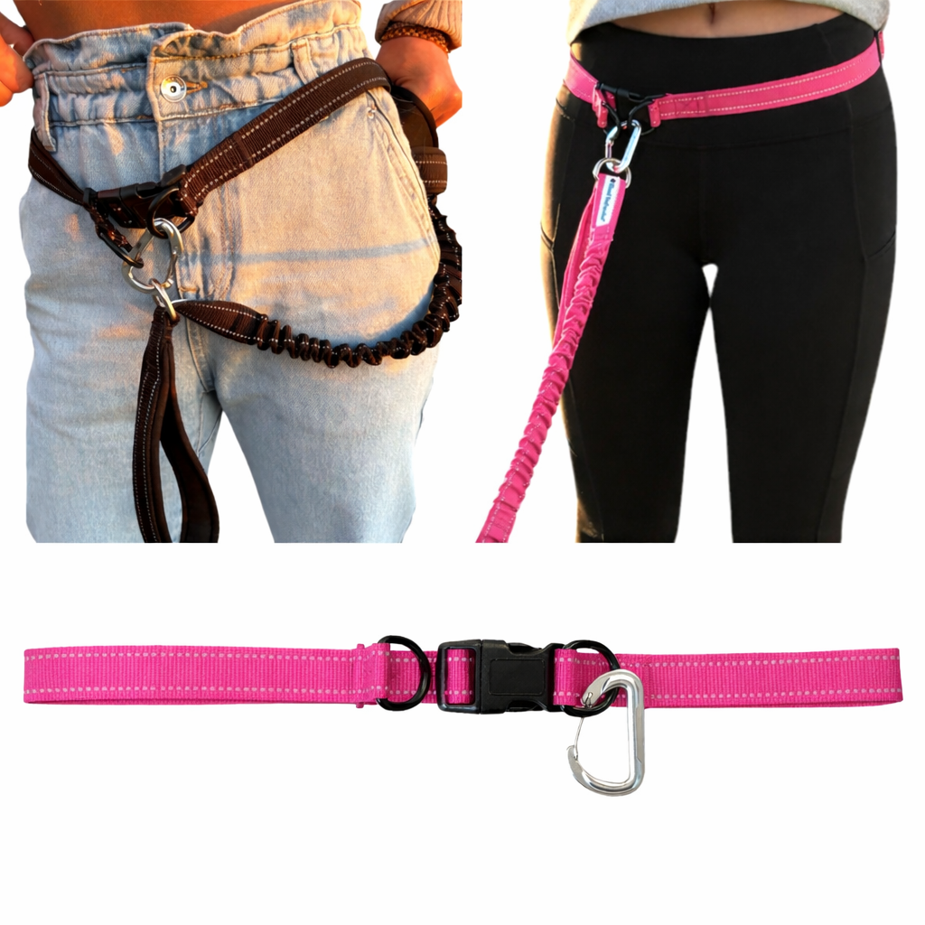 Hands Free Leash Belt