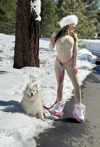 Hands Free Leash Belt