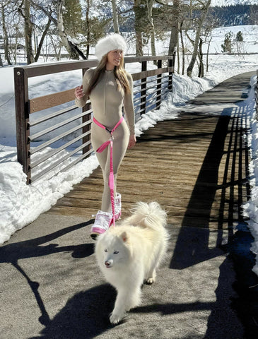 Hands Free Leash Belt