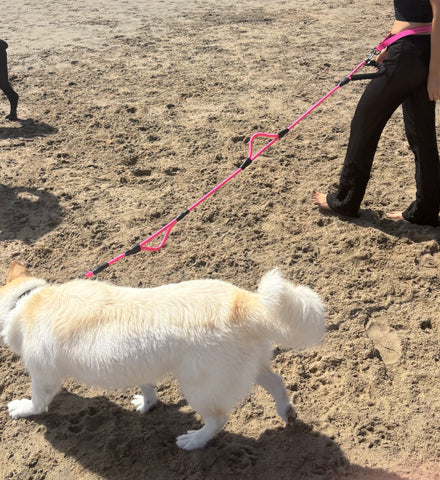 Rope Leash - Three Handles - 5ft.