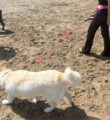 Rope Leash - Three Handles - 5ft.