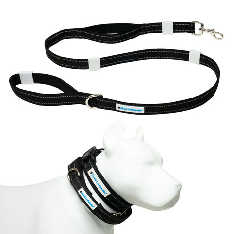 Mag-Snap™ Leash - 5 ft.