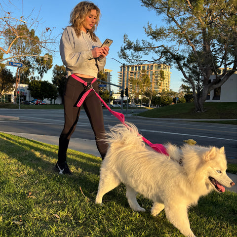 Hands Free Leash Belt