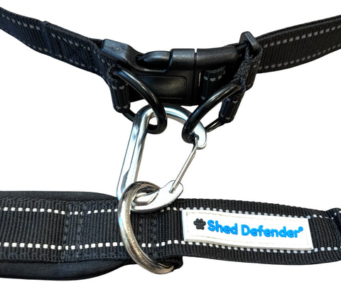 Hands Free Leash Belt