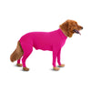 Original Dog Onesie