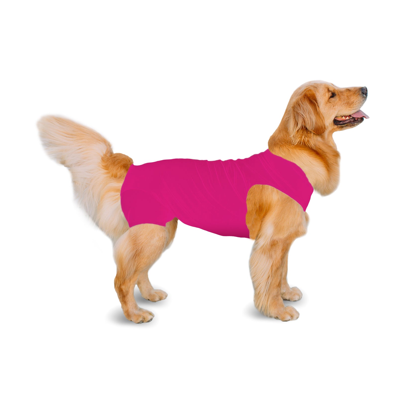 Shed Defender Recovery Onesie