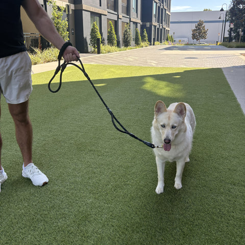 Rope Leash - Three Handles - 5ft.