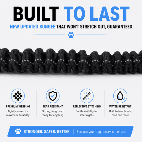 Bungee Leash 4-6 ft.